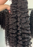 BURMESE CURL