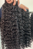 BURMESE CURL