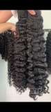 BURMESE CURL