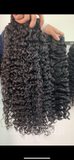 BURMESE CURL